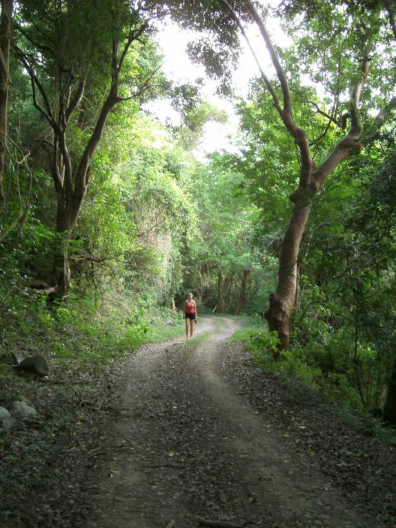A gostosa trilha de pouco mais de 2 km que leva de Bogles à Anse La Roche, em Carriacou, ilha ao norte de Granada